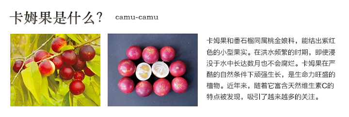 DHC卡姆活力晶亮系列_维生素C含量约为柠檬的37-56倍